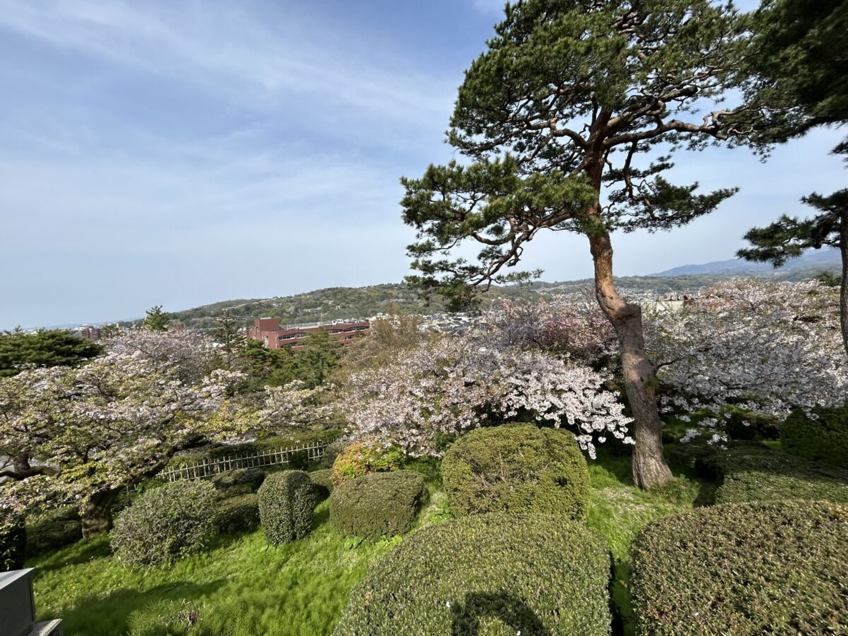 兼六園の様子